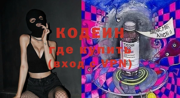 крисы Саки