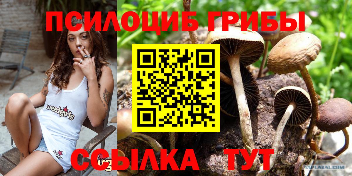 Псилоцибиновые грибы ЛСД  Галлюциногенные грибы MAGIC MUSHROOMS  Вход с VPN  Чайковский 